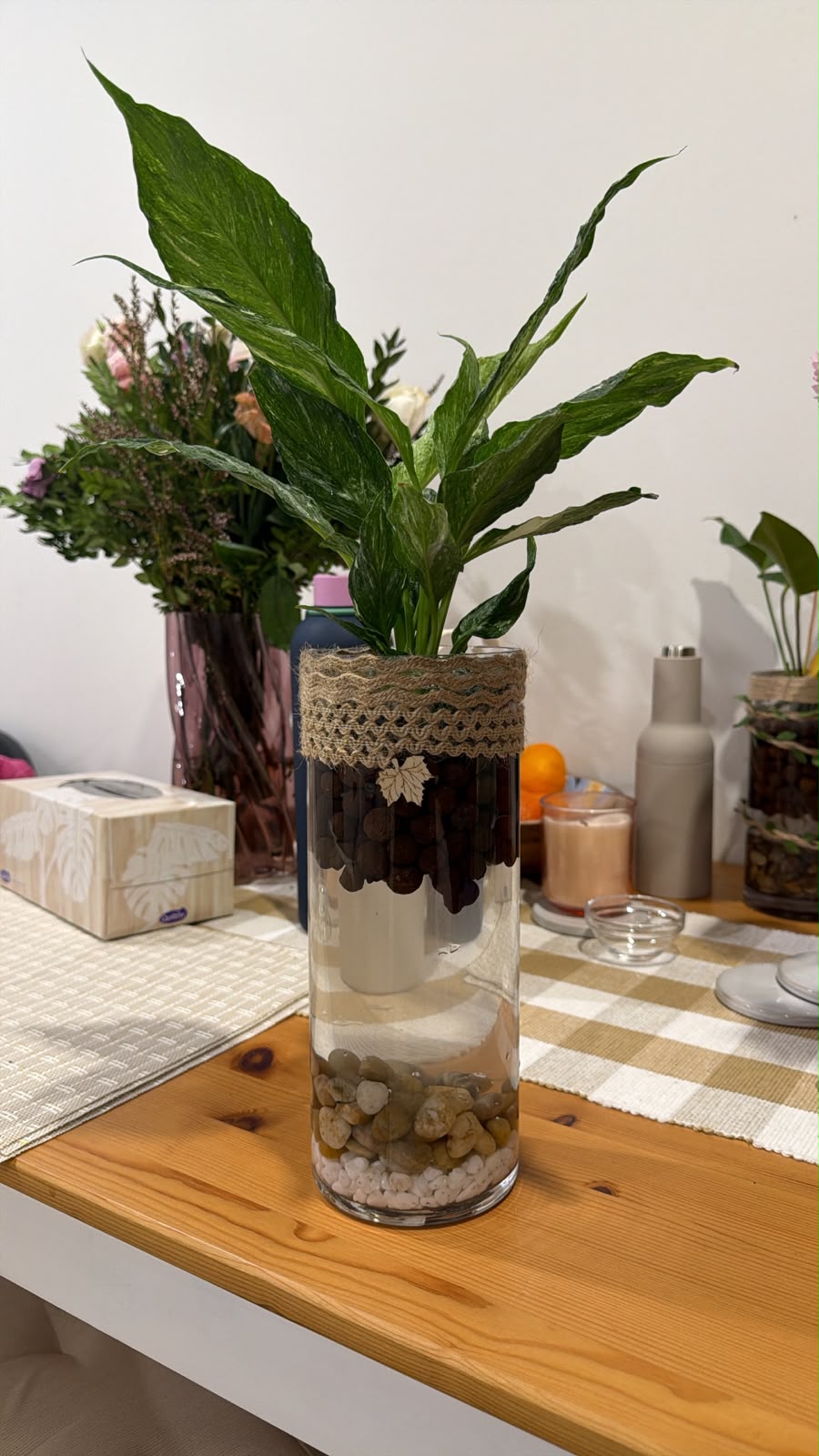 A green plant arranged in a tall clear glass vessel with visible water, roots and layered stones